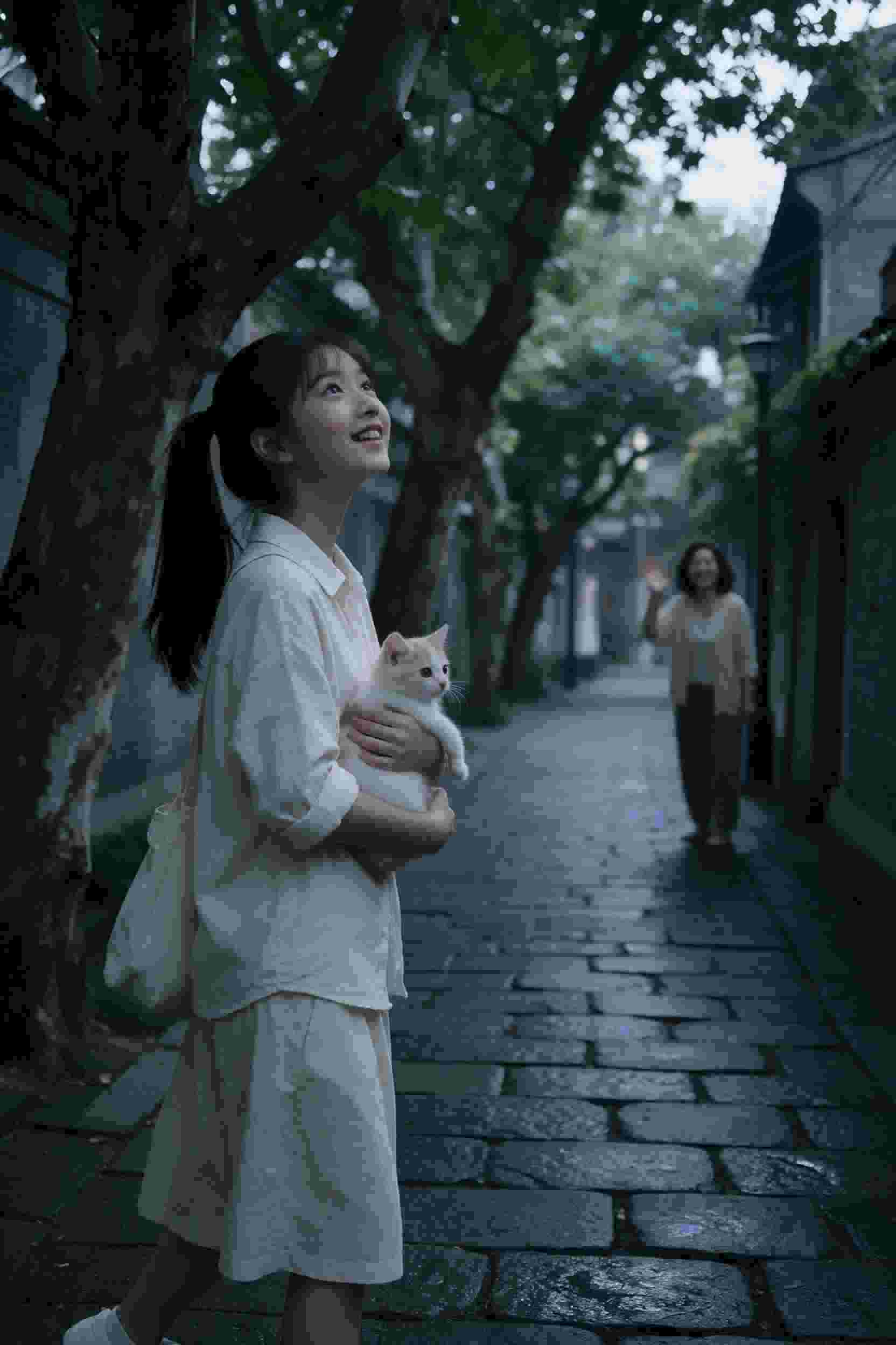 暗夜追踪